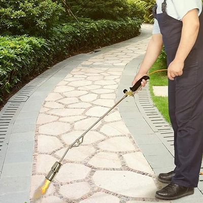 66KW de entrada de calor normal de gás propano tocha de queimador de ervas daninhas assassino para jardim e estradas